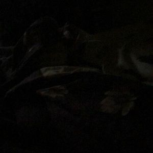 Meet your Posher, Lucia